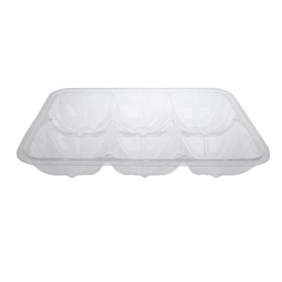 Rectangular transparent PET plastic compartmentalized container 250x182x40 mm. - GOT 1100 A (oblique view)